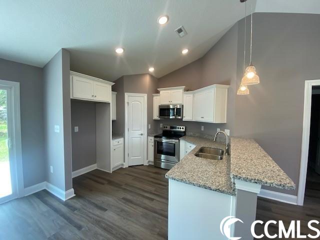 1296 Floyd Page Road Galivants Ferry, SC 29544 - Photo 7 of 17 Gallery Image 7