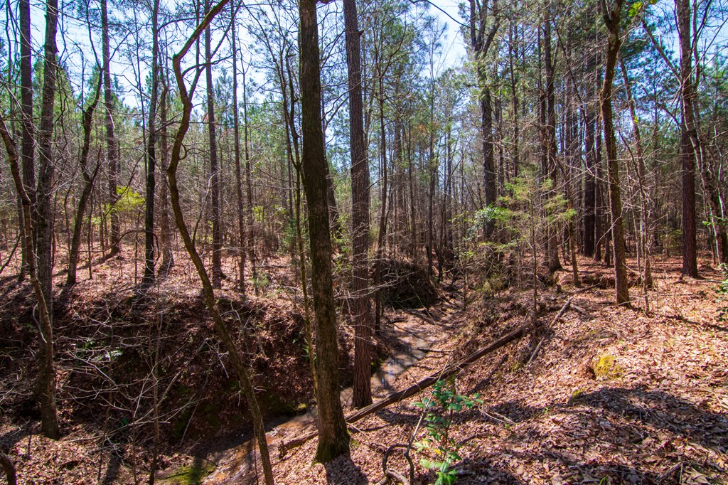 A Taylor Road Ellerslie, GA 31807 - Photo 16 of 27 Gallery Image 16