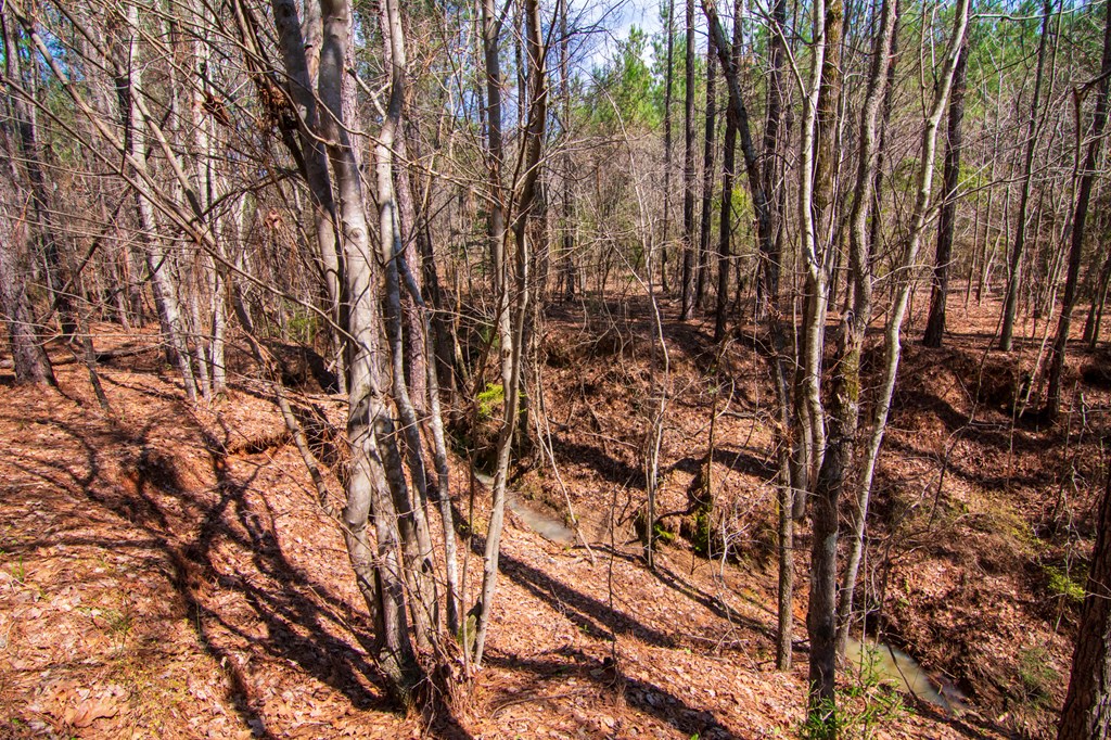 A Taylor Road Ellerslie, GA 31807 - Photo 19 of 27 Gallery Image 19