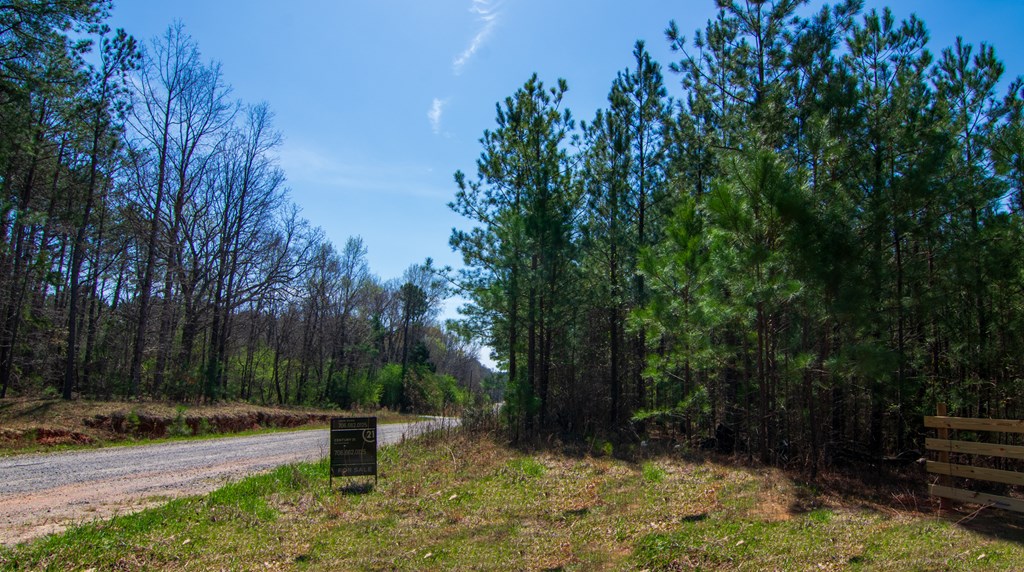 A Taylor Road Ellerslie, GA 31807 - Photo 2 of 27 Gallery Image 2