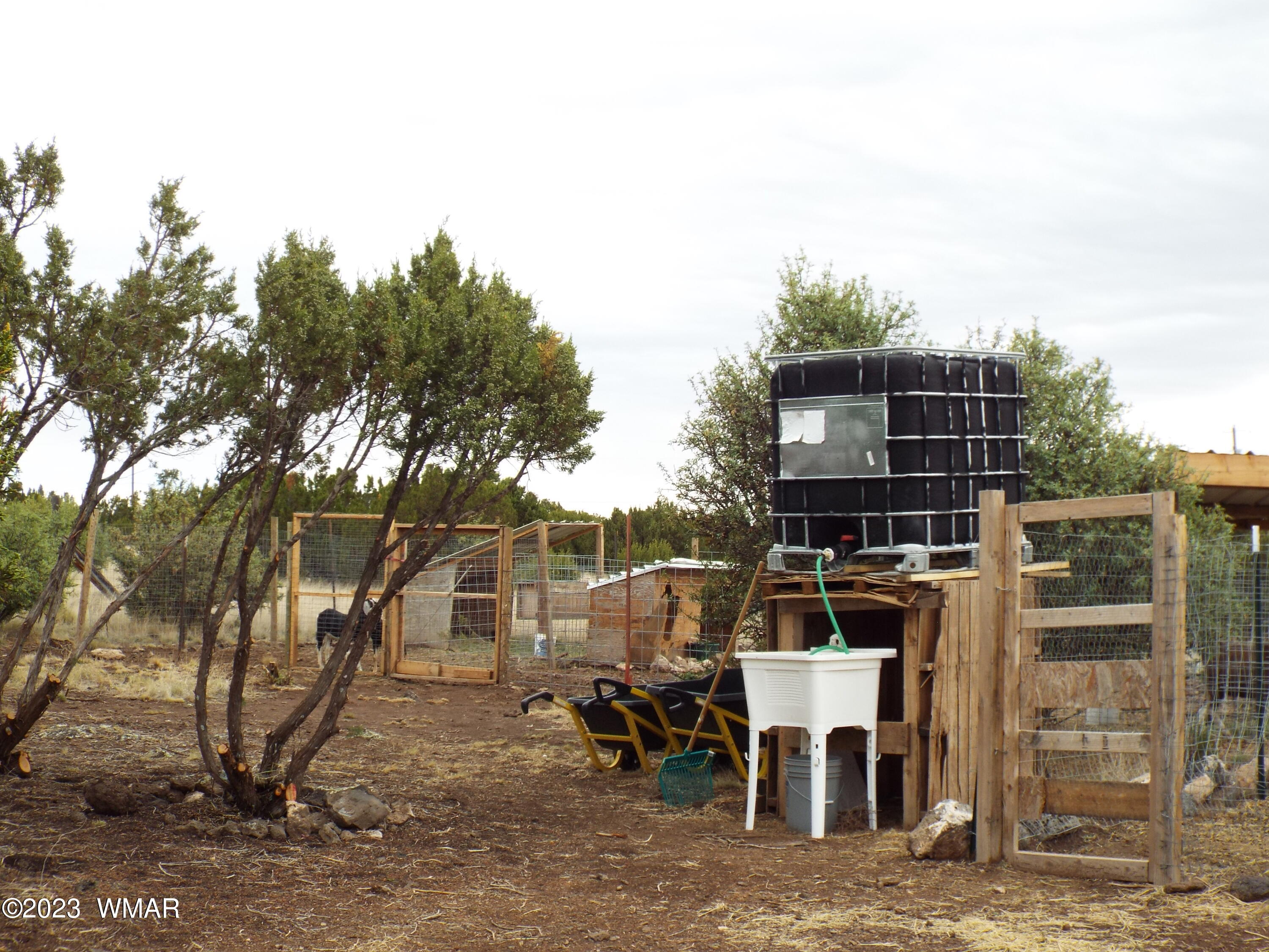 67 County Road Concho, AZ 85924 - Photo 31 of 54