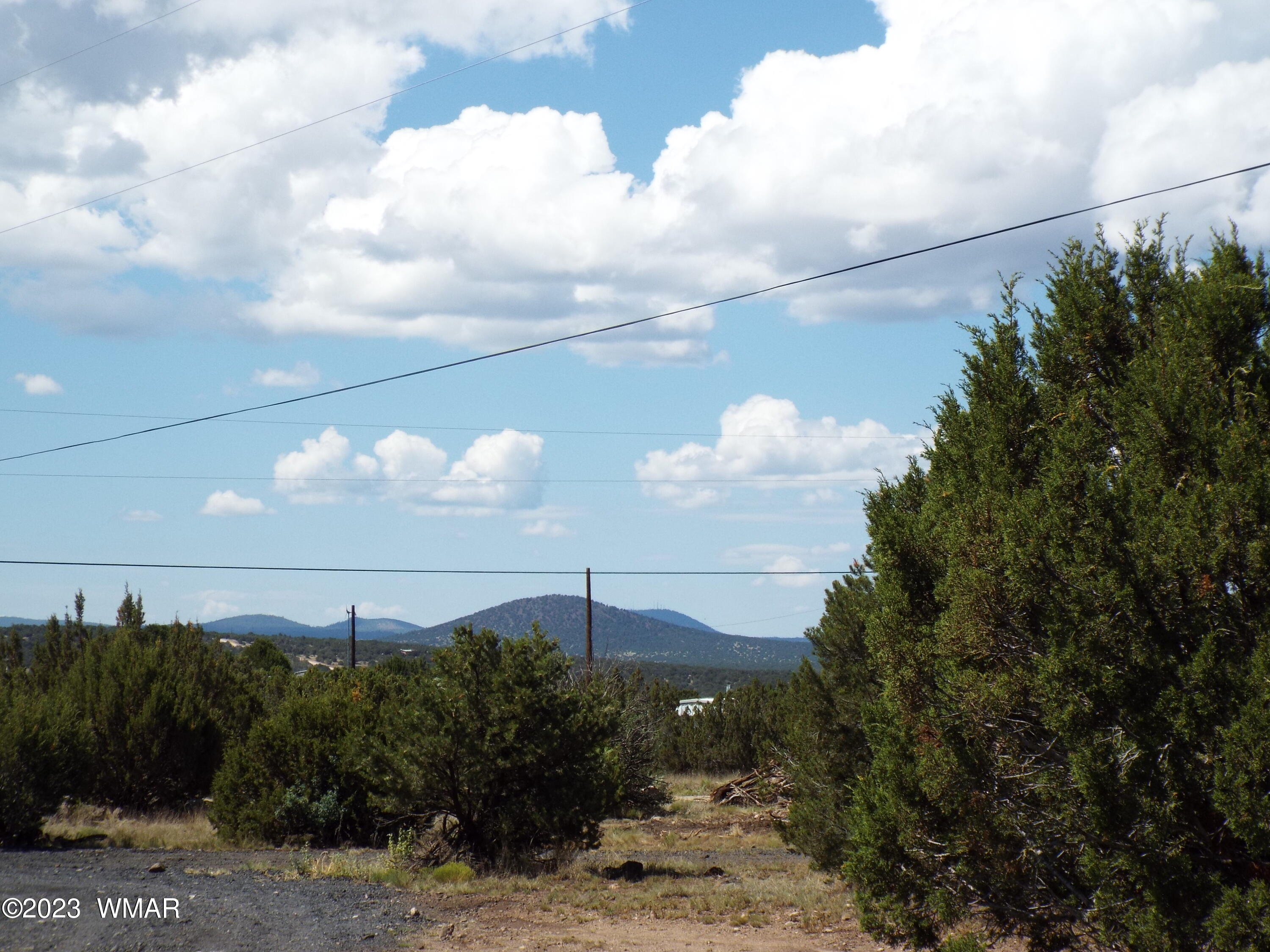 67 County Road Concho, AZ 85924 - Photo 53 of 54