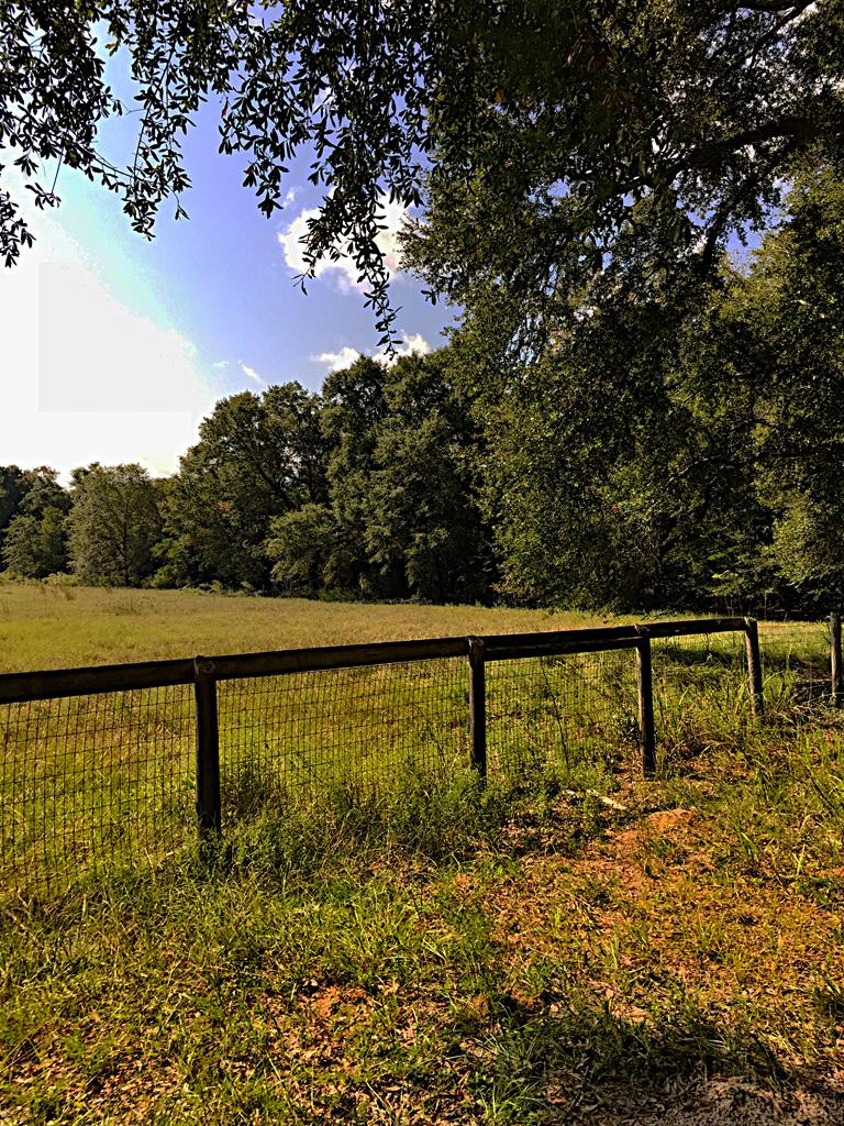 4248 Wagener Road Aiken, SC 29805 - Photo 38 of 38