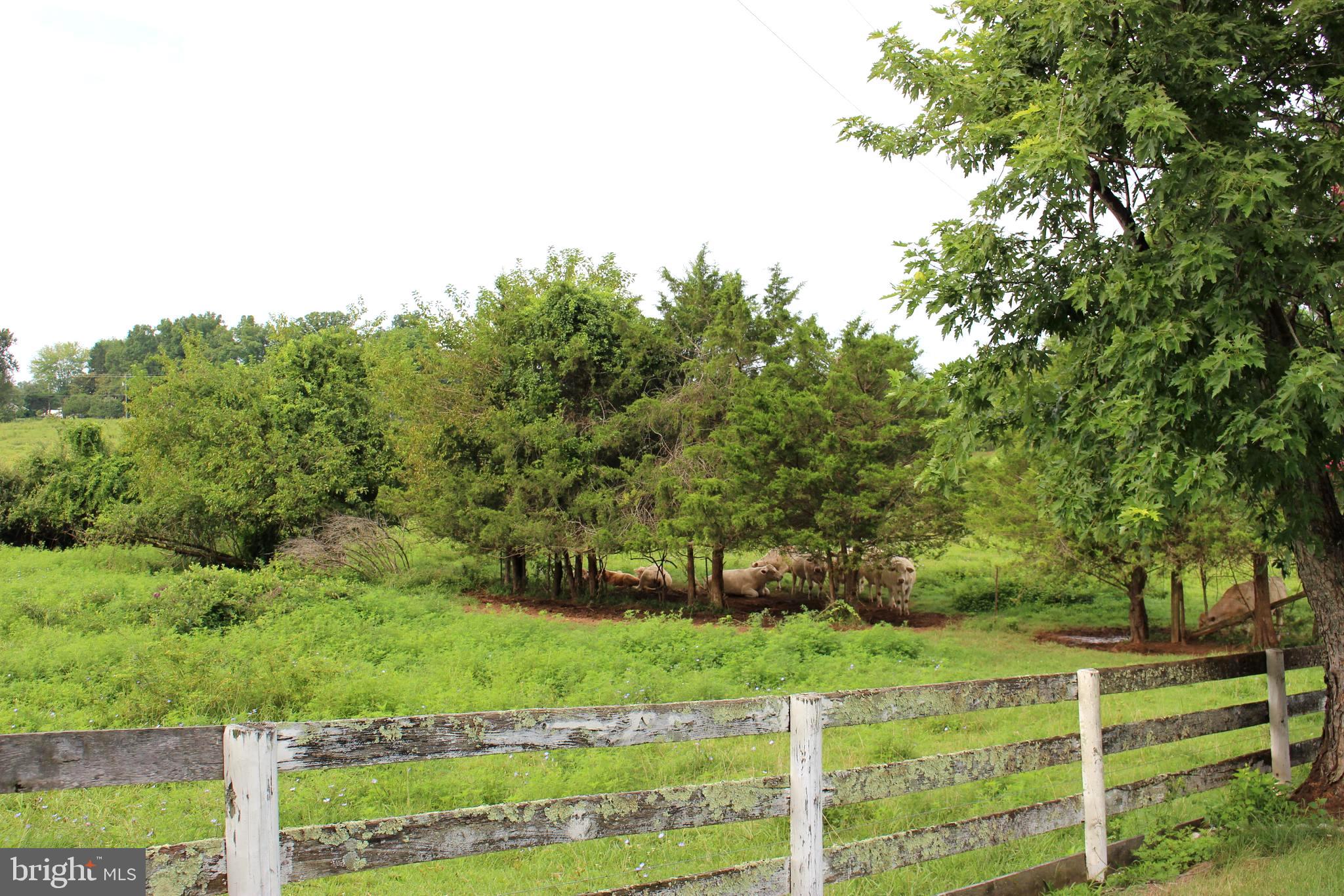 7787 Greenwich Road Catlett, VA 20119 - Photo 77 of 95 Gallery Image 77