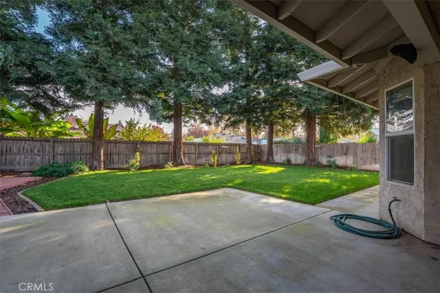 a backyard of a house with plants and large trees