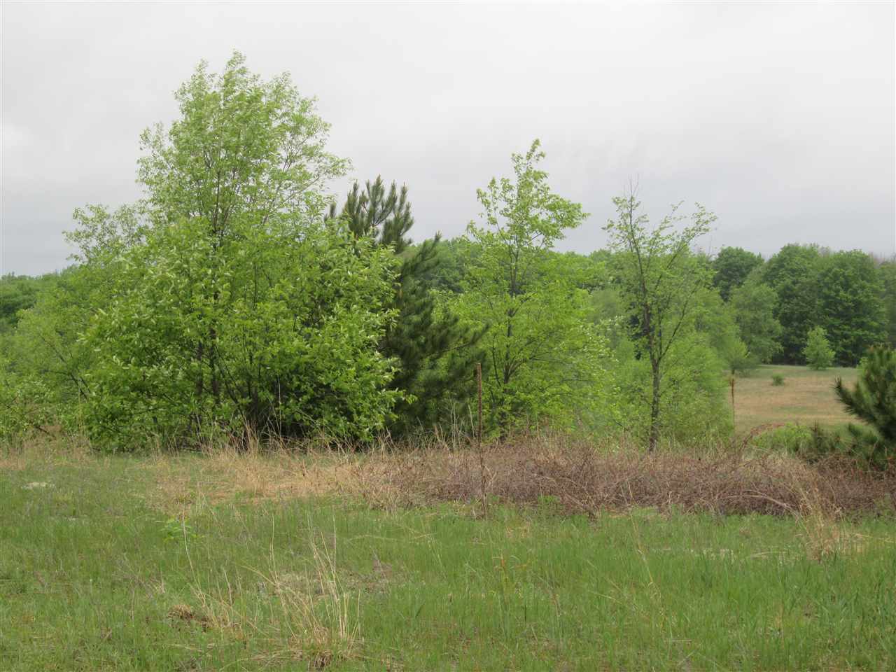1536 Tremblay Road Mancelona, MI 49659 - Photo 6 of 31 1800456-5.JPG