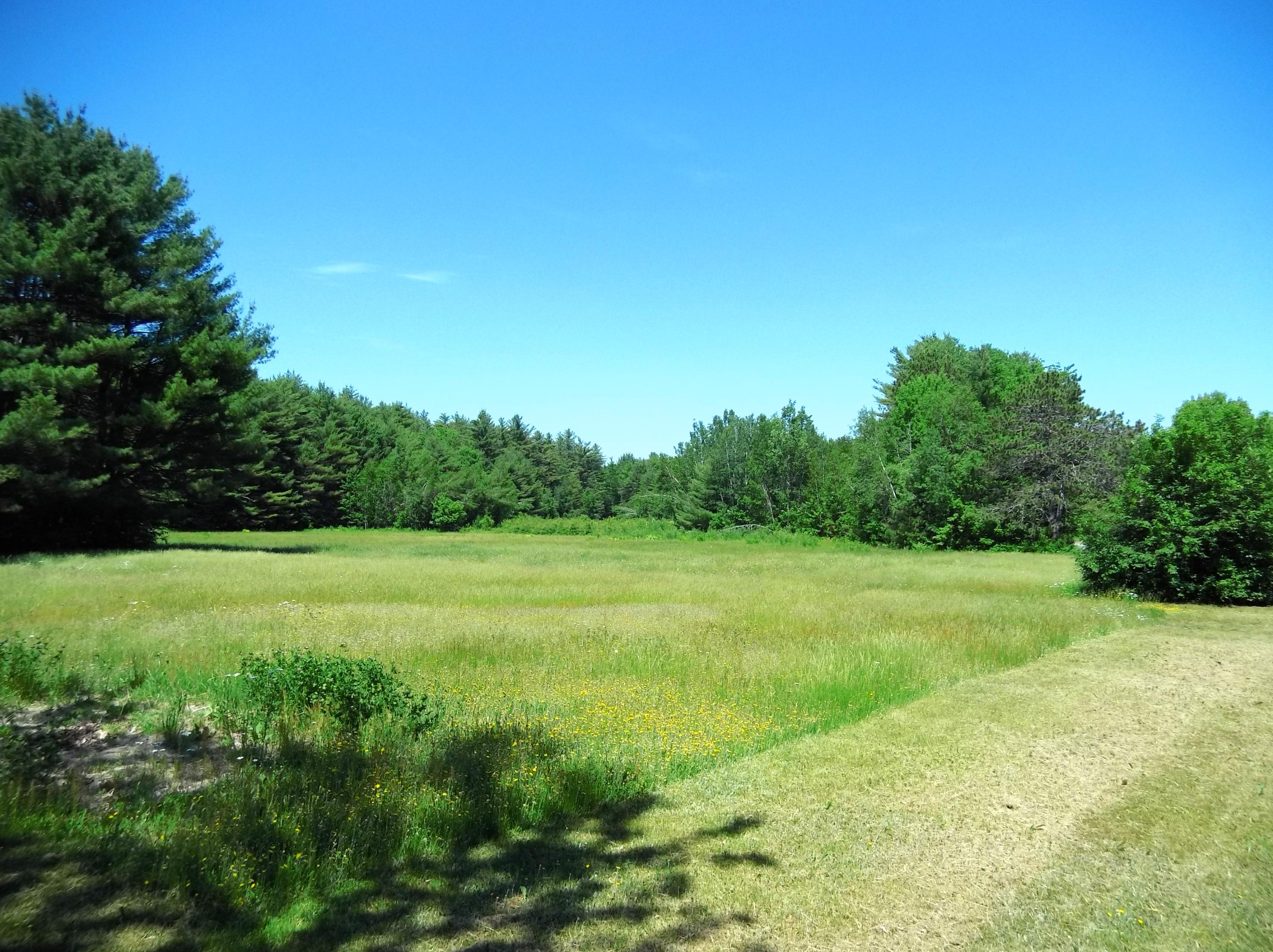 179 River Road Lagrange, ME 04453 - Photo 10 of 32 IMG_20200619_140153885