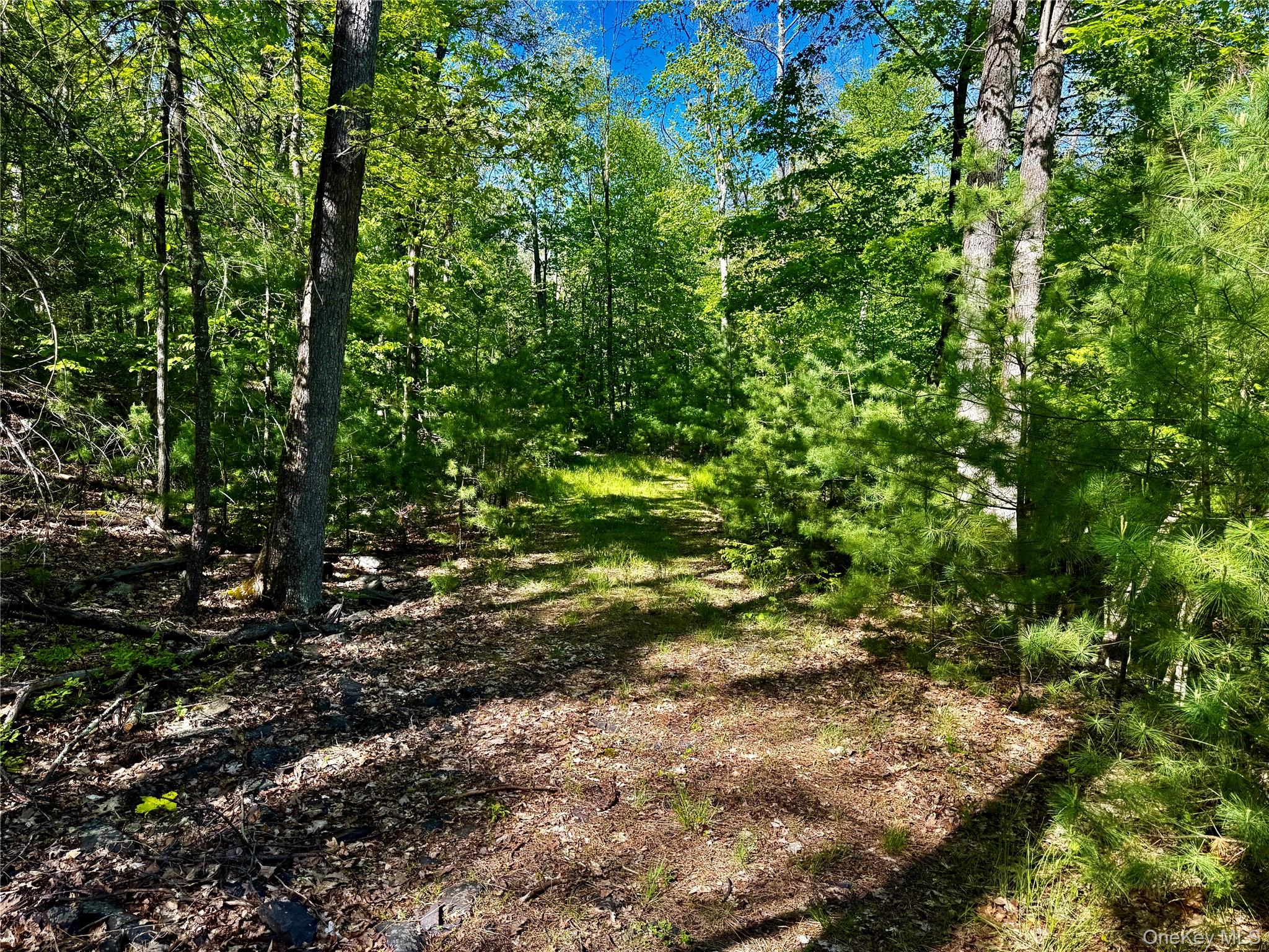 101 Stone Road Hurley, NY 12491 - Photo 14 of 24 a view of a yard with plants and large trees