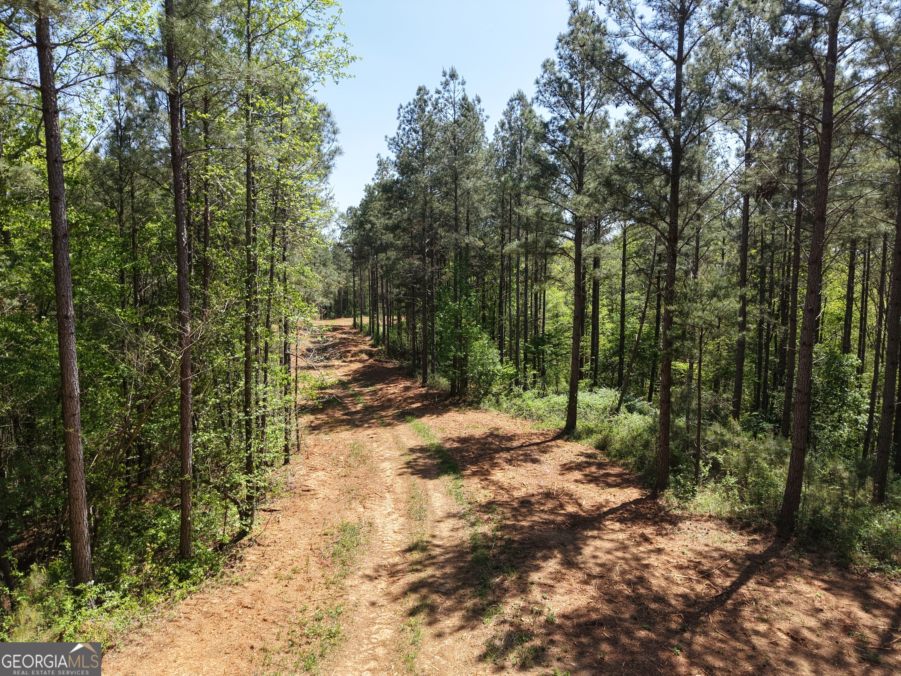 0 Ryo Mountain Road, Unit 9609 Fairmount, GA 30139 - Photo 37 of 87 Gallery Image 37