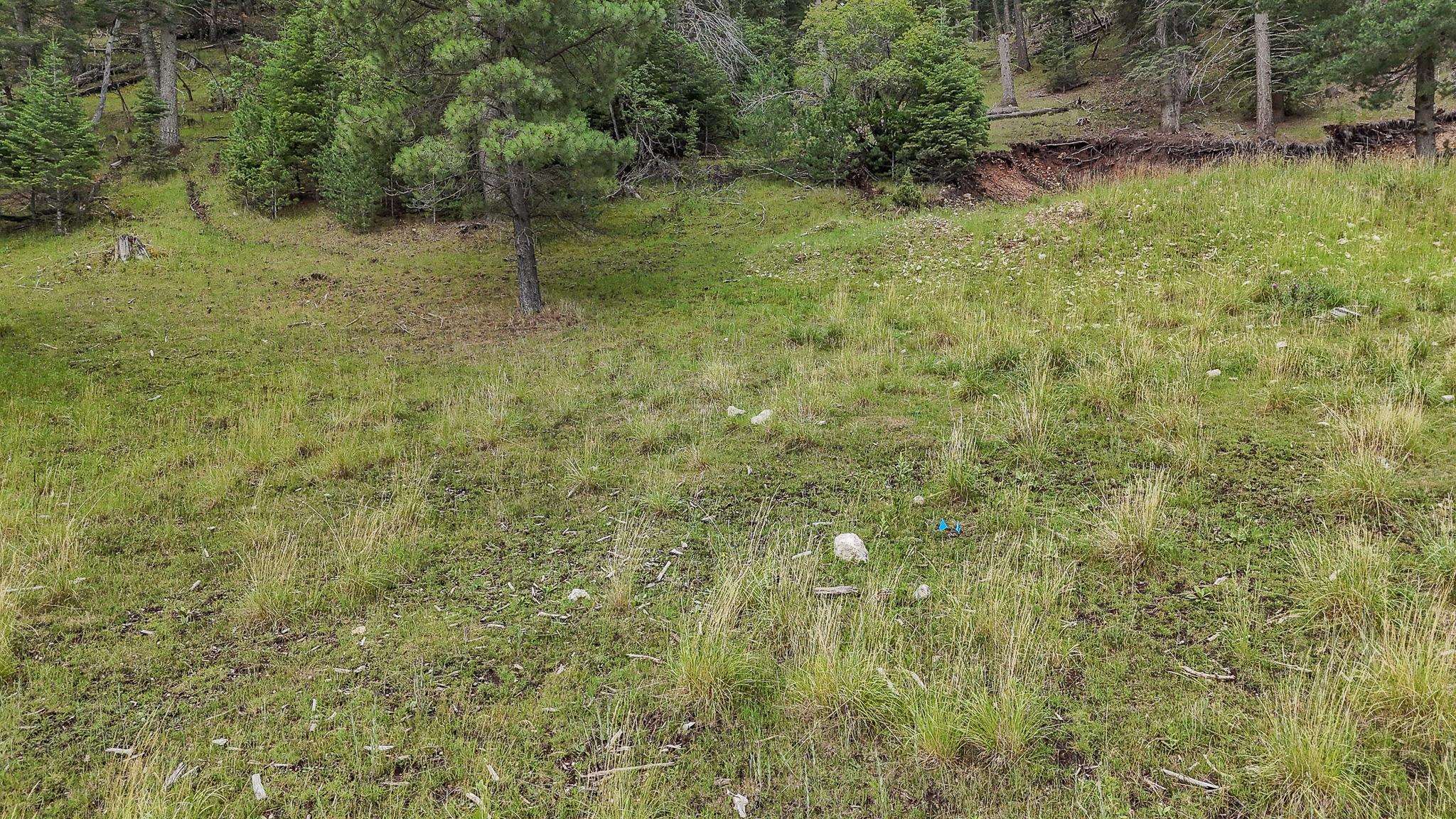 Lot 40 Trading Post Road Cloudcroft, NM 88317 - Photo 2 of 12 Gallery Image 2