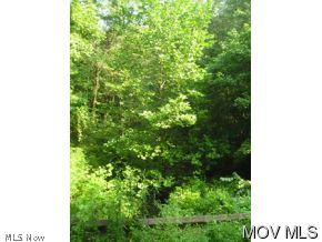 0 Rt 124 & T Road Long Bottom, OH 45743 - Photo 4 of 4