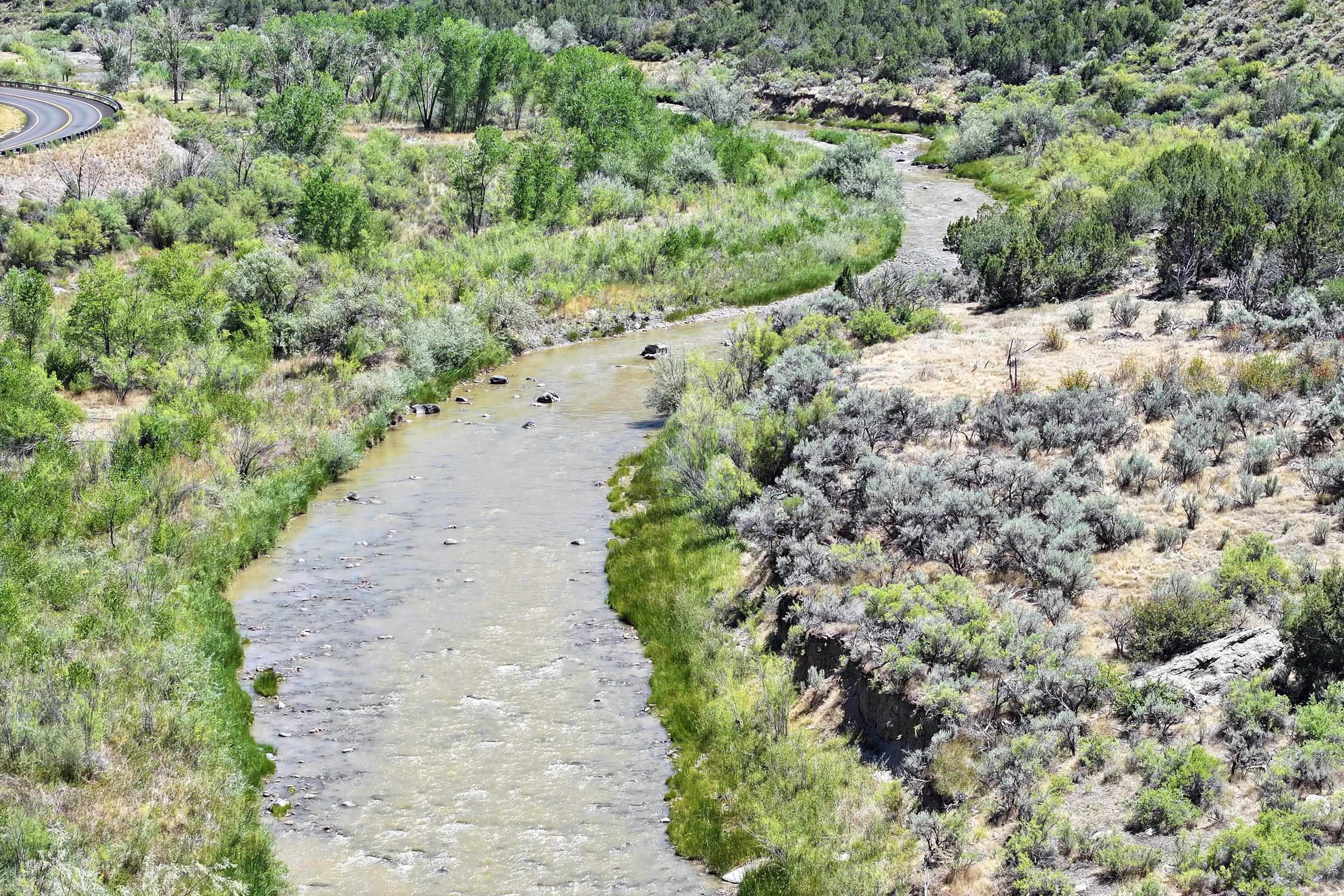 65 Highway 65 Mesa, CO 81643 - Photo 6 of 12 a view of a forest with a building