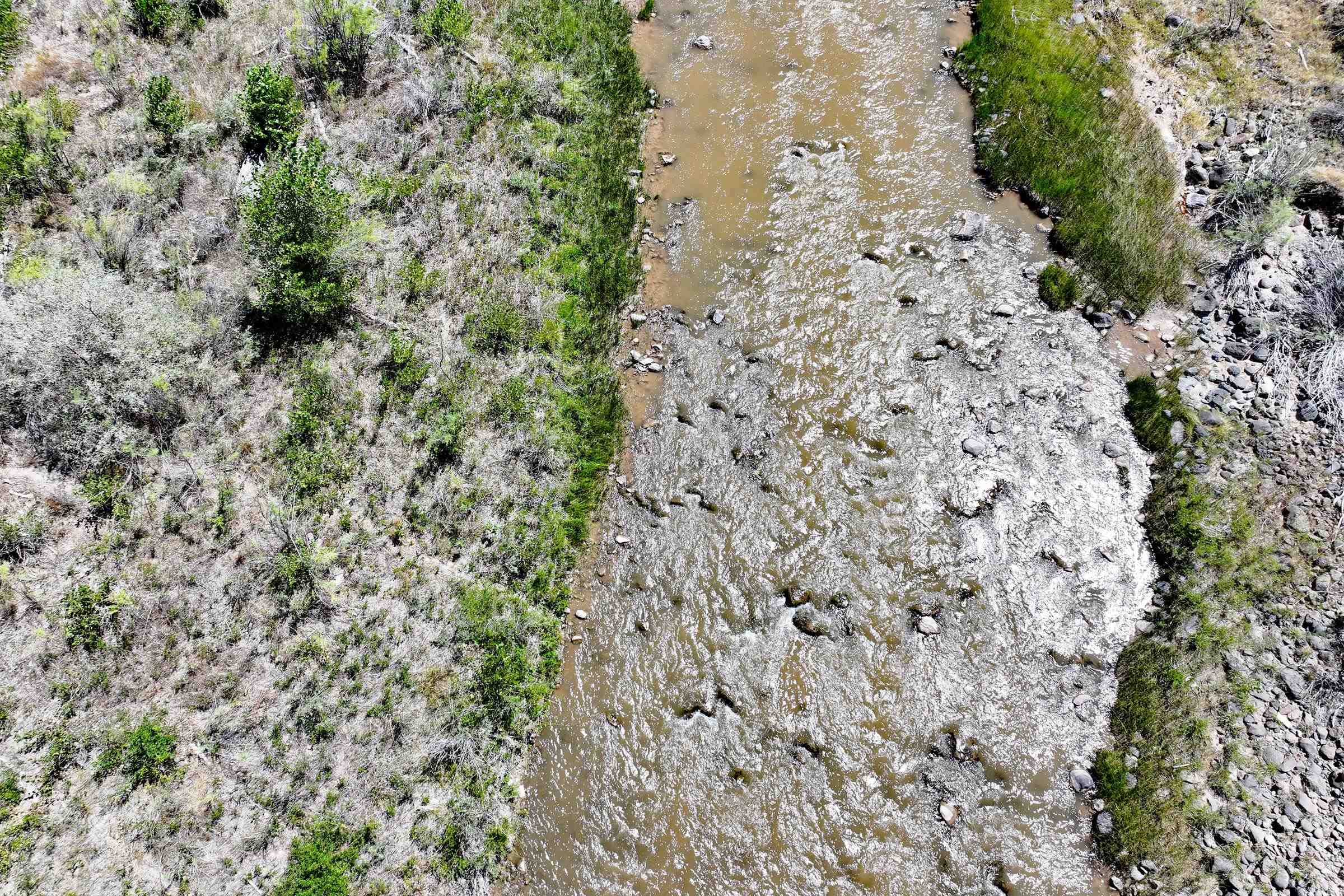 65 Highway 65 Mesa, CO 81643 - Photo 8 of 12 a view of a yard with a tree