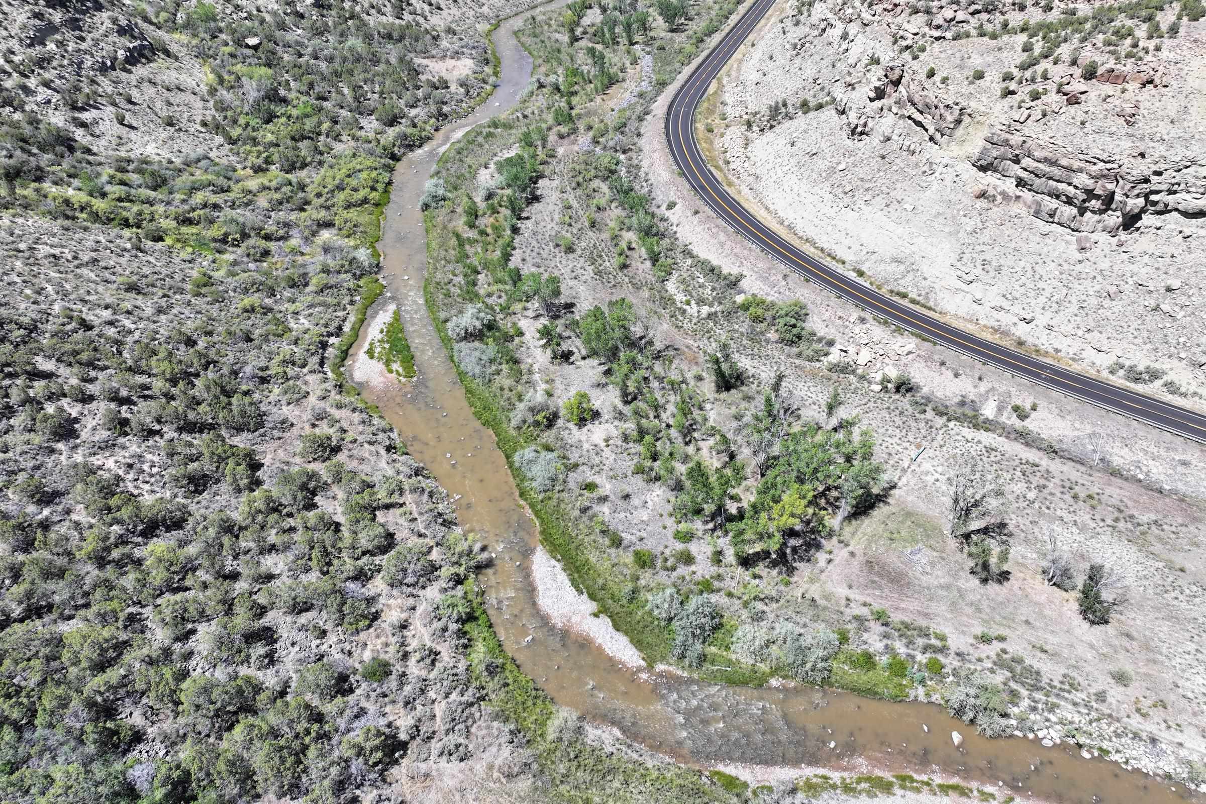 65 Highway 65 Mesa, CO 81643 - Photo 10 of 12 a view of a bird bath