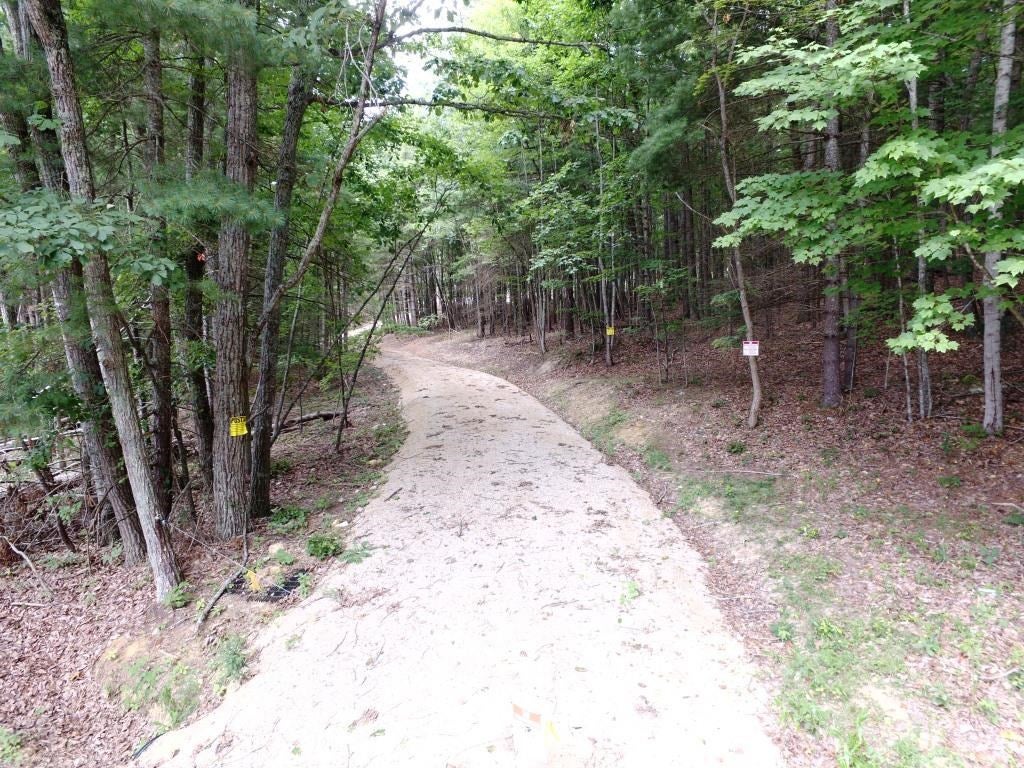 92-ac Shady Forrest Road Max Meadows, VA 24360 - Photo 10 of 26 Gallery Image 10