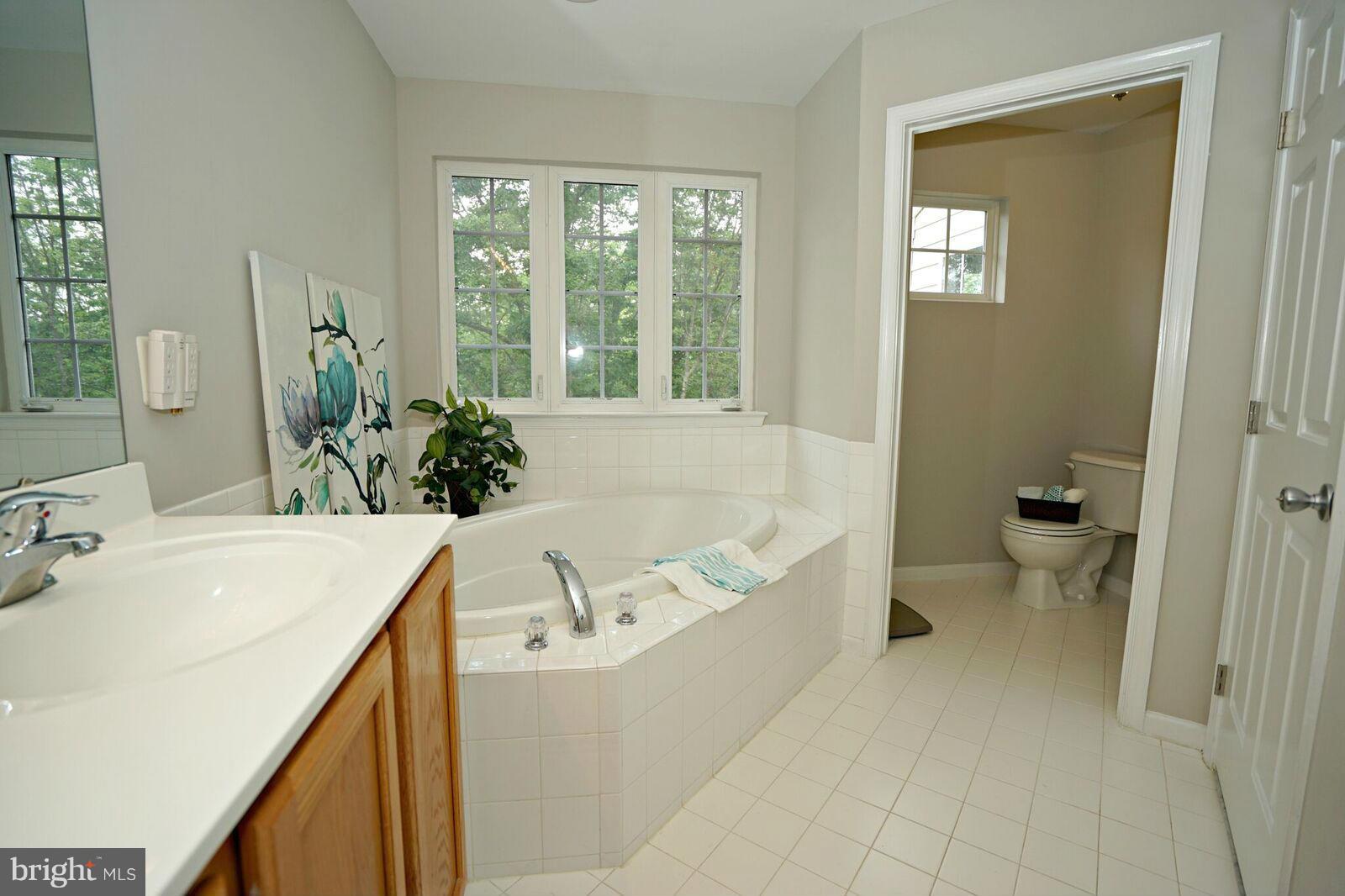 43388 Allisons Ridge Terrace Ashburn, VA 20148 - Photo 22 of 30 Bath (Master)