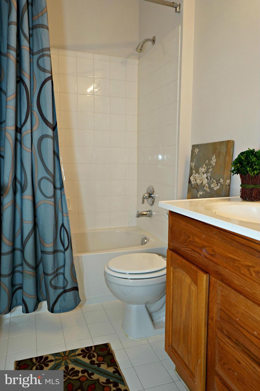 43388 Allisons Ridge Terrace Ashburn, VA 20148 - Photo 23 of 30 Bath