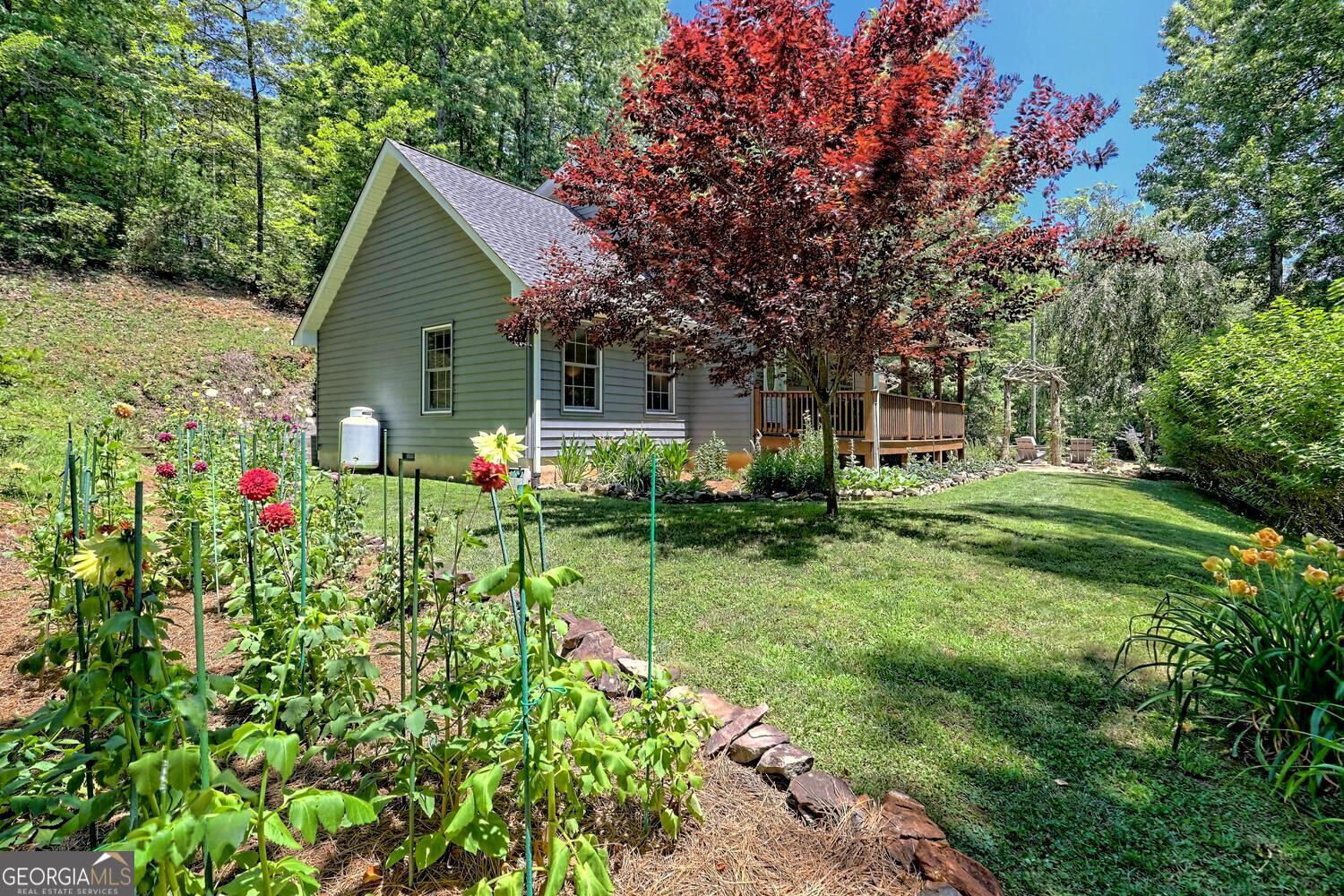 351 Blalock Goldmine Road Clayton, GA 30525 - Photo 1 of 1 Gallery Image 1
