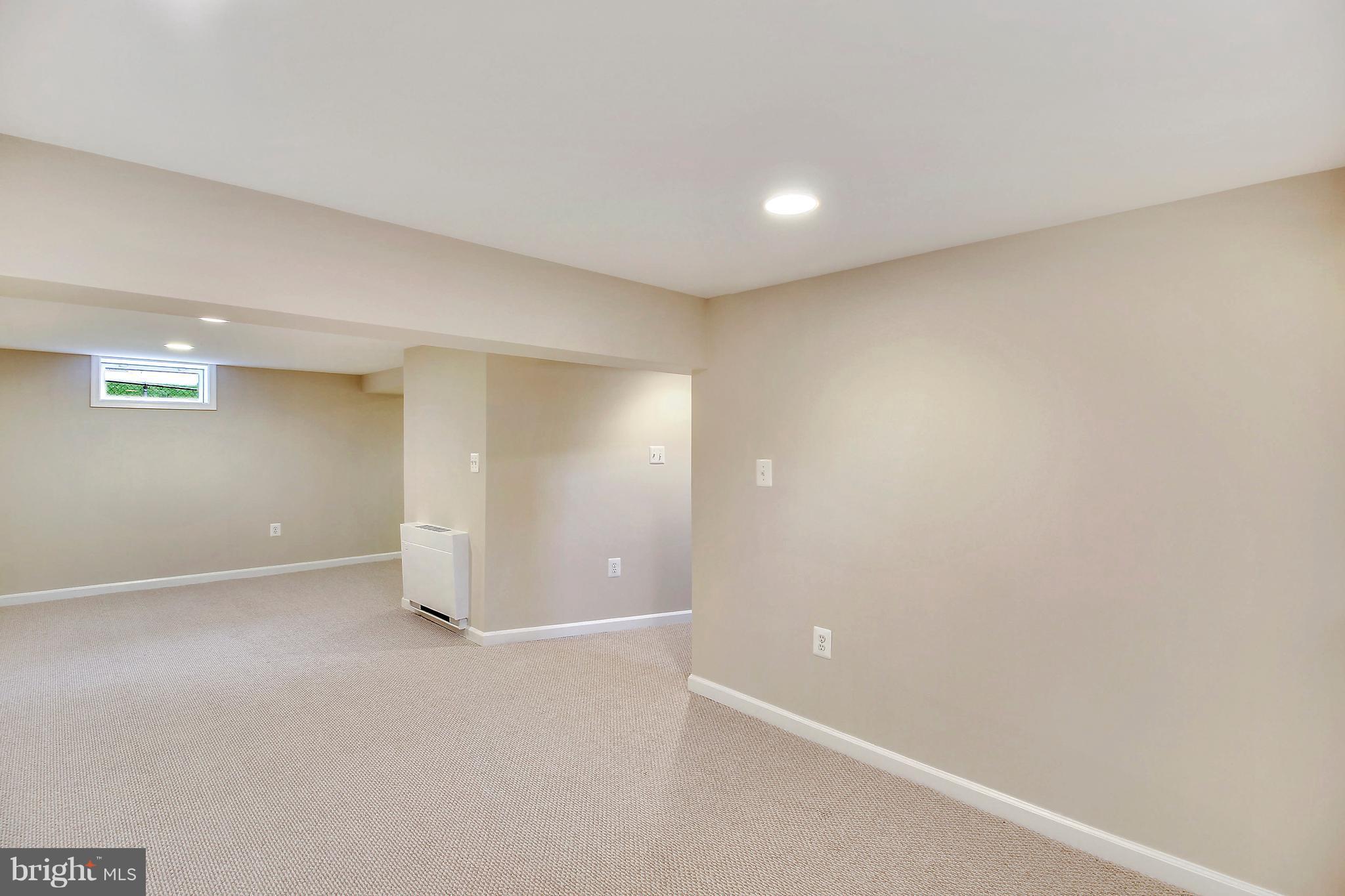 12014 Dewey Road Silver Spring, MD 20906 - Photo 26 of 30 Spacious LL Rec Room