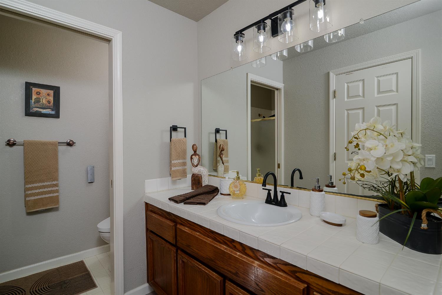 4055 Alex Lane Carmichael, CA 95608 - Photo 18 of 47 a bathroom with a sink a potted plant and a mirror