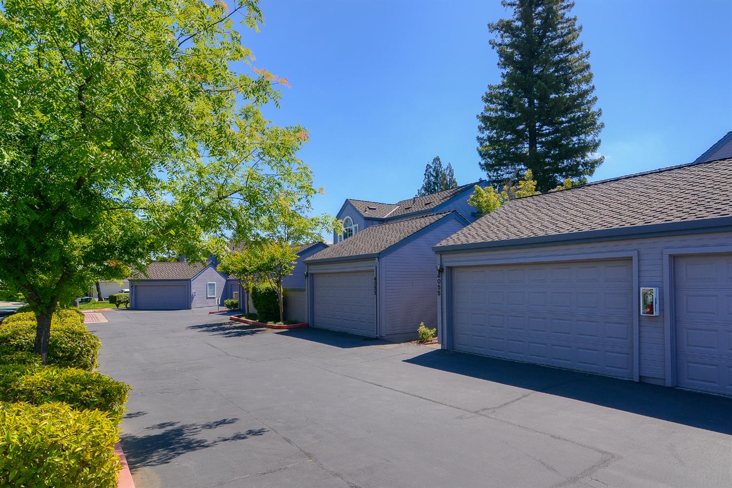 4055 Alex Lane Carmichael, CA 95608 - Photo 29 of 47