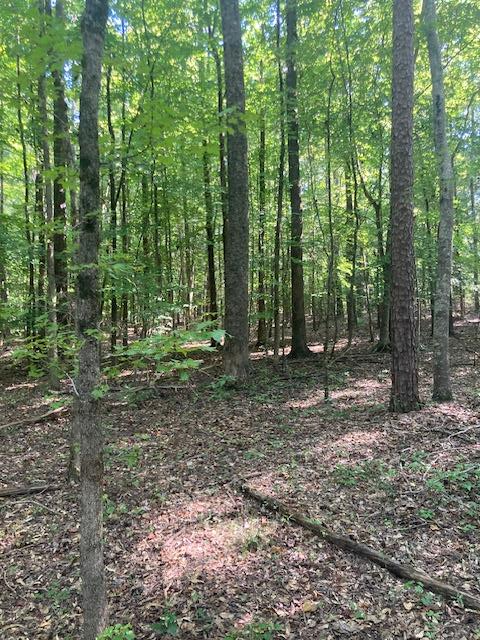 0 New Smith Road Abbeville, SC 29620 - Photo 1 of 8