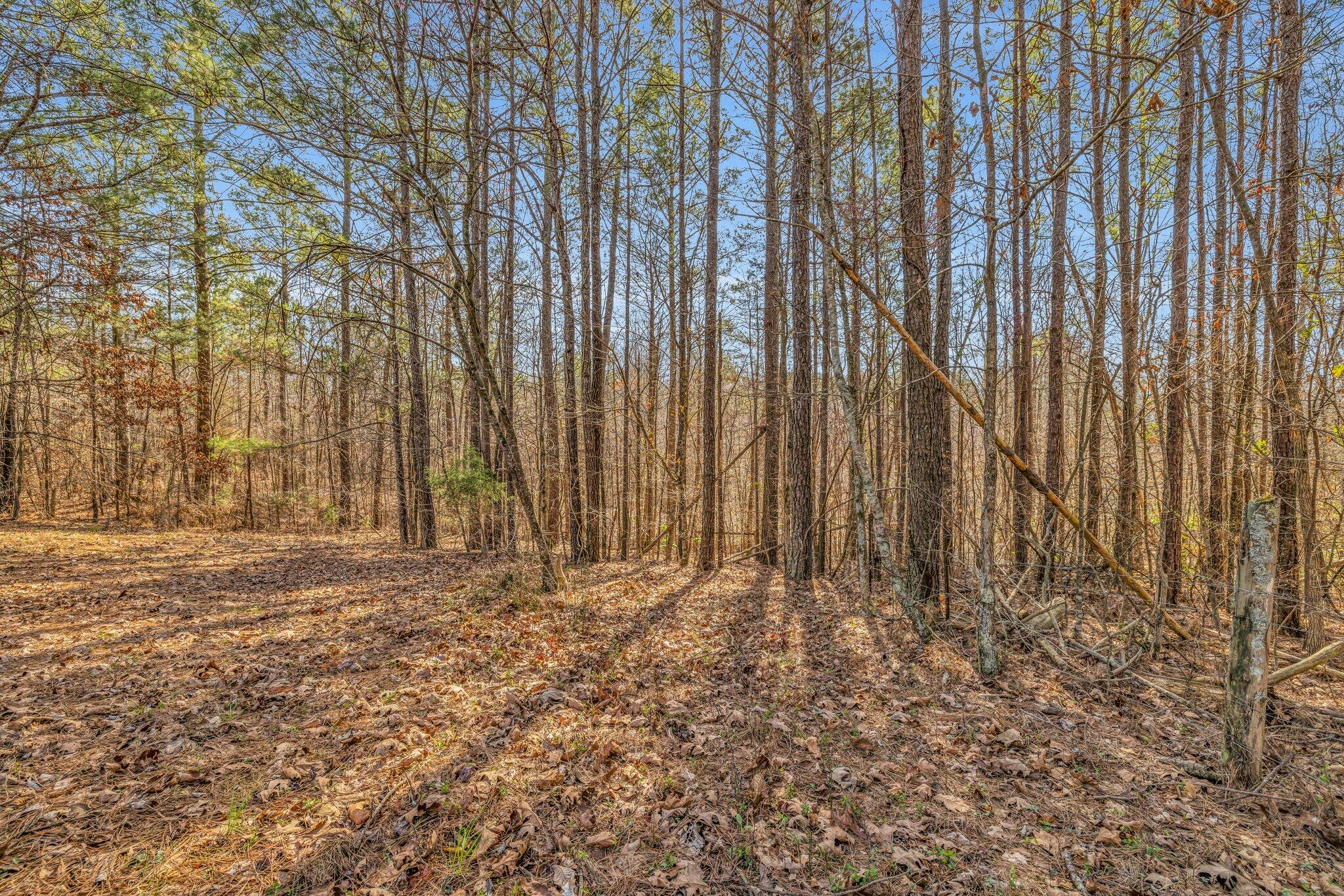 840 Ramsey Bridge Road Southeast Cleveland, TN 37323 - Photo 13 of 48 15-web-or-mls-840-ramsey-bridge-rd-se