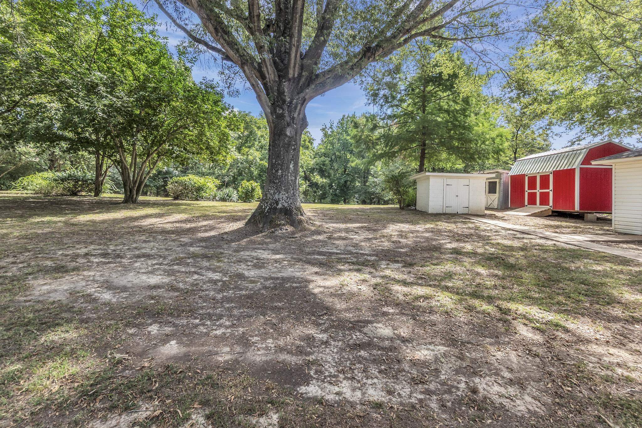 2234 Highway 301 Hernando, MS 38632 - Photo 24 of 27 a view of a yard with a tree