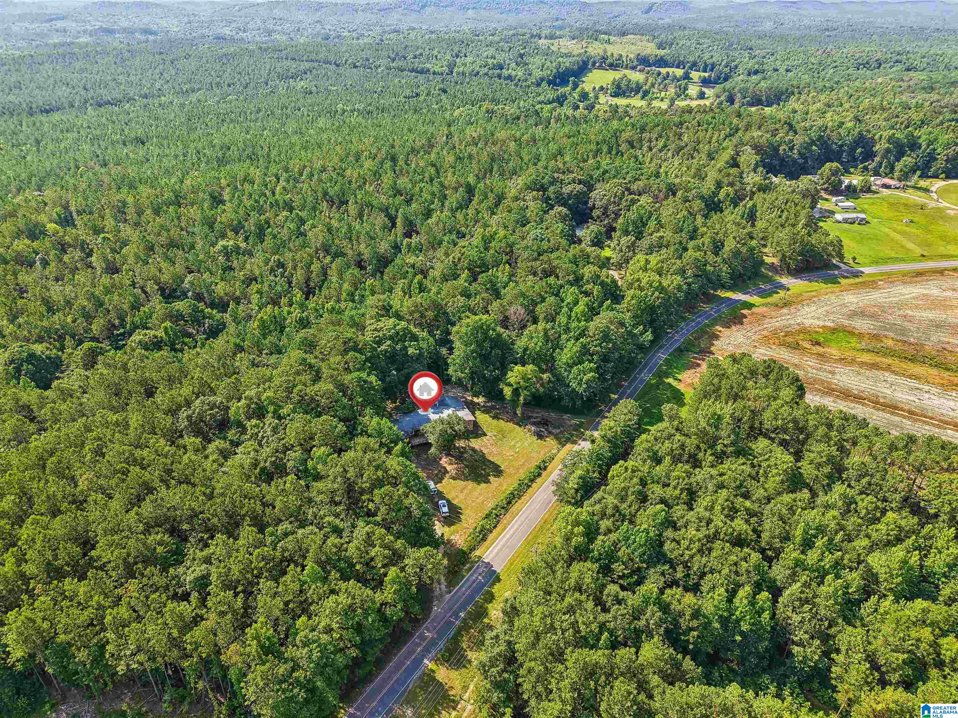 4363 County Road 5 Sylacauga, AL 35151 - Photo 32 of 32
