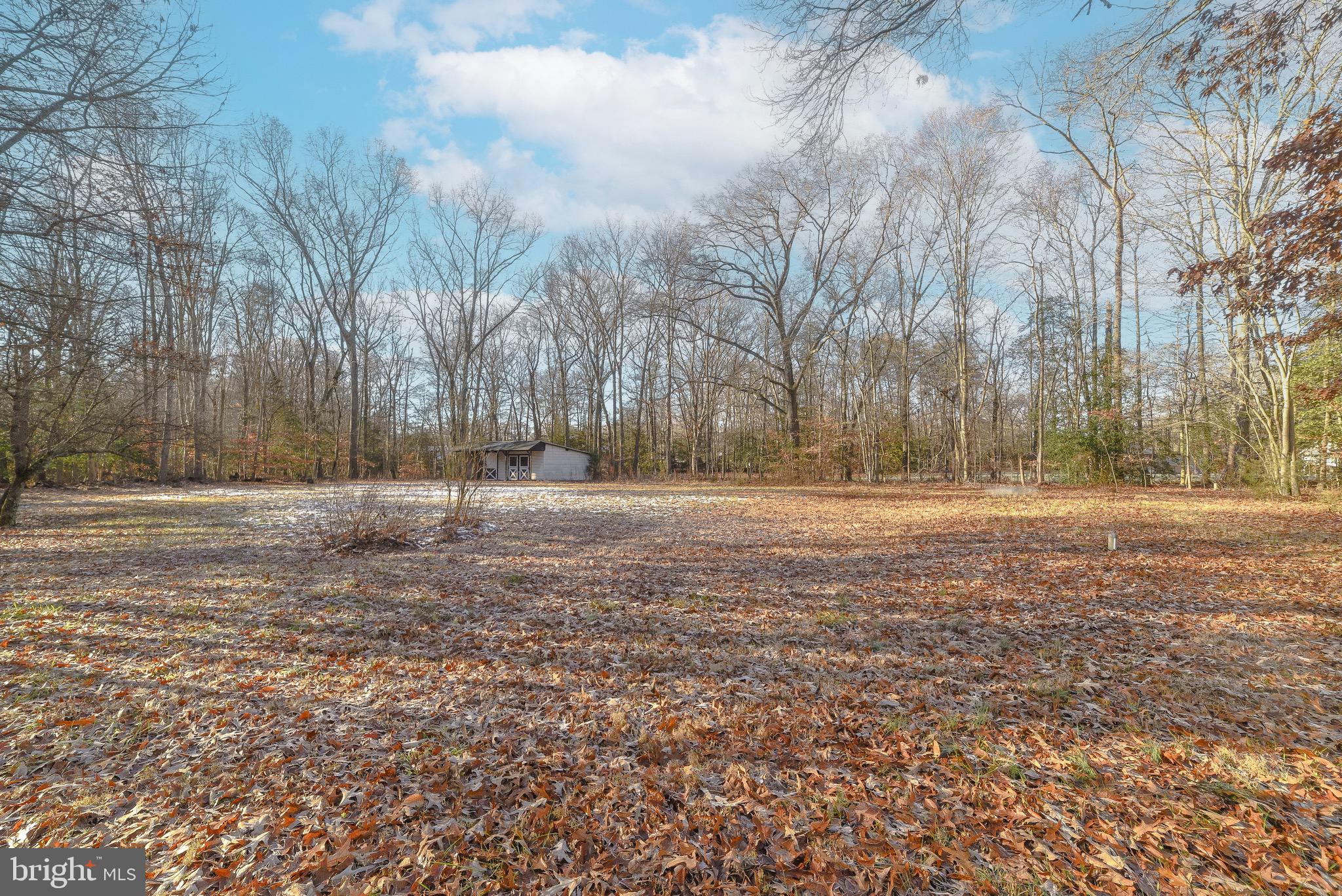 3965 Hanson Road White Plains, MD 20695 - Photo 48 of 50 Gorgeous USABLE land