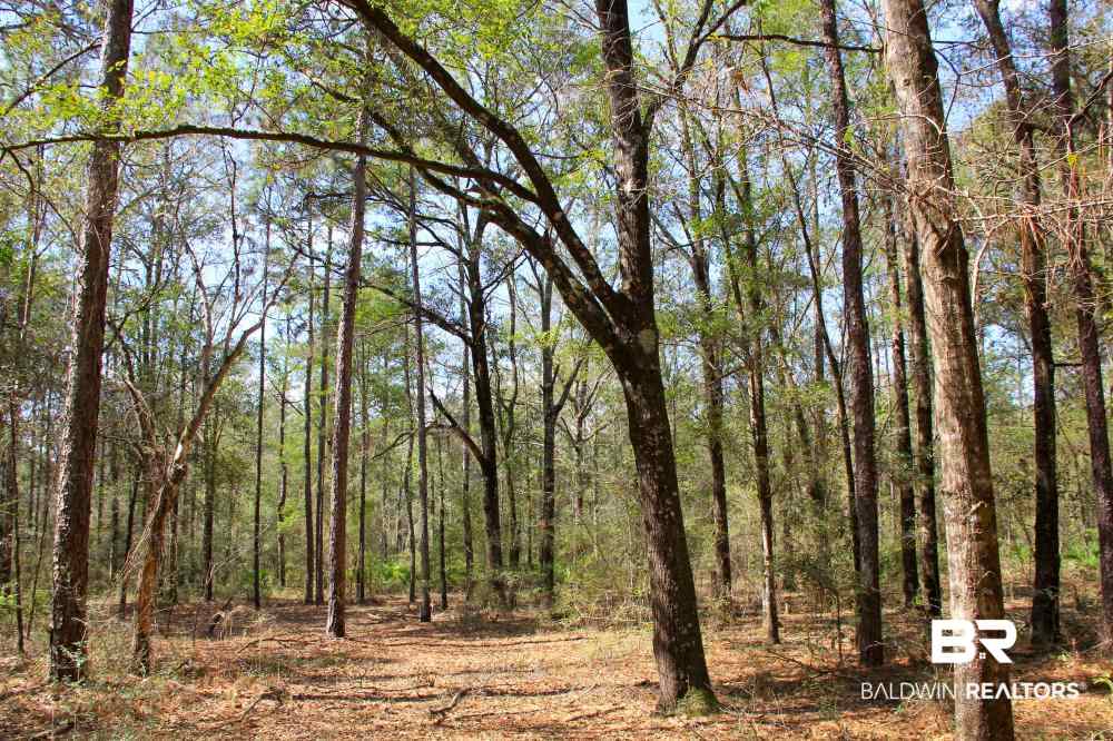 0 County Road 49 Loxley, AL 36551 - Photo 17 of 33