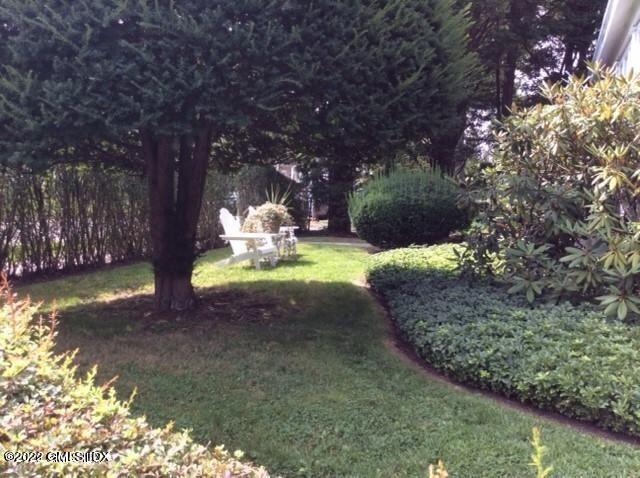 83 William Street, Unit 1 Greenwich, CT 06830 - Photo 10 of 10 a view of a yard with tree s