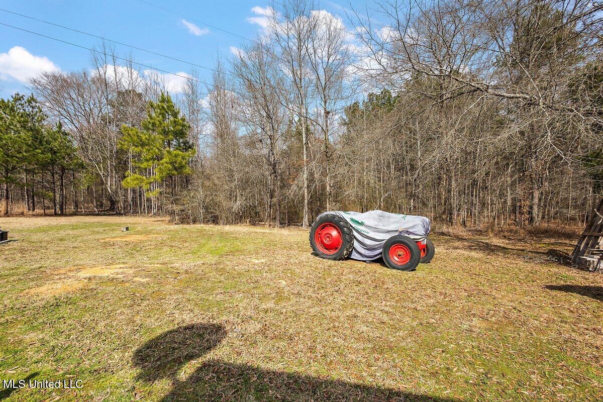 1166 Mt Pilgrim Road Camden, MS 39045 - Photo 15 of 15 3HTP6706