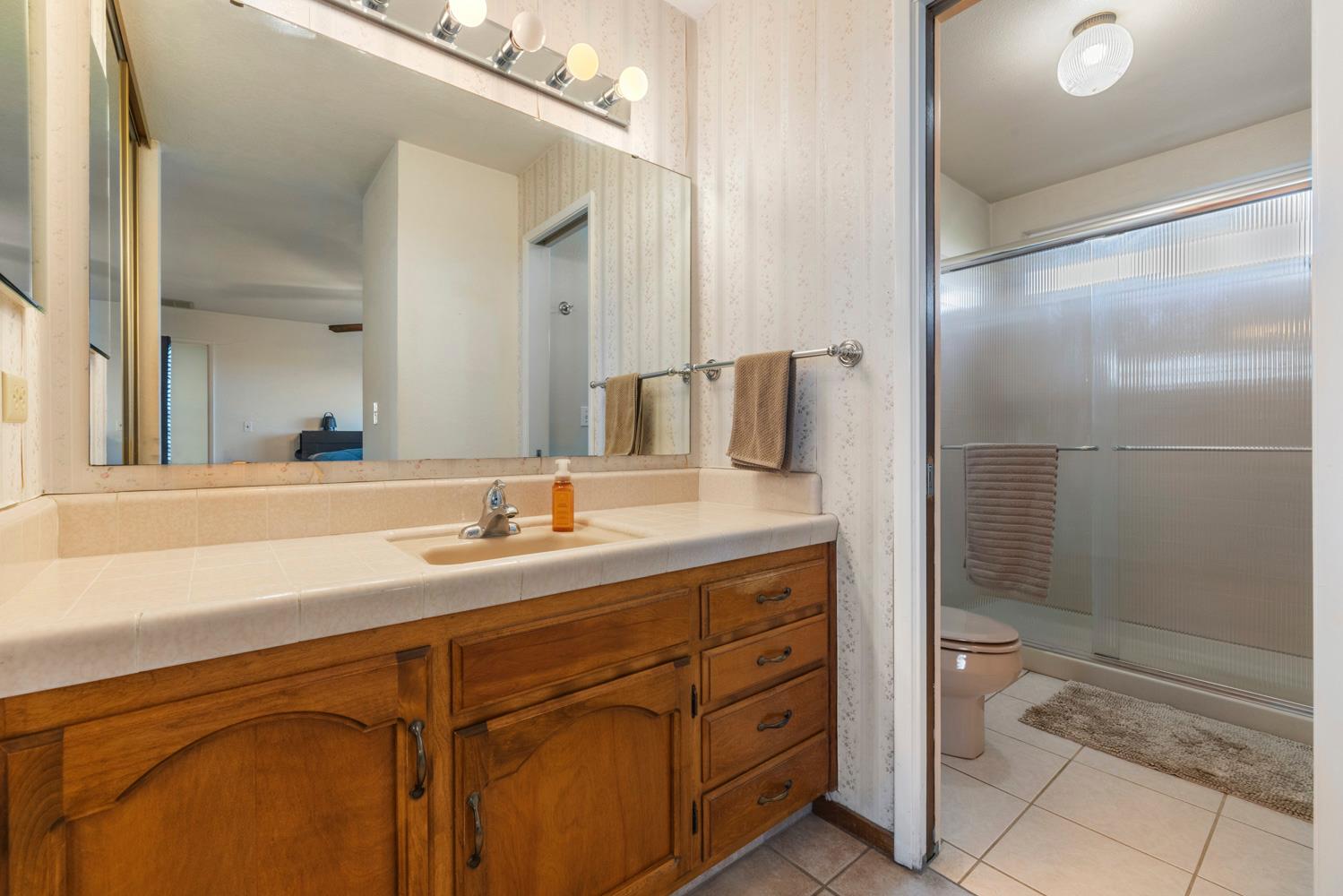 24836 Arthur Road Escalon, CA 95320 - Photo 20 of 47 a bathroom with a shower sink and mirror
