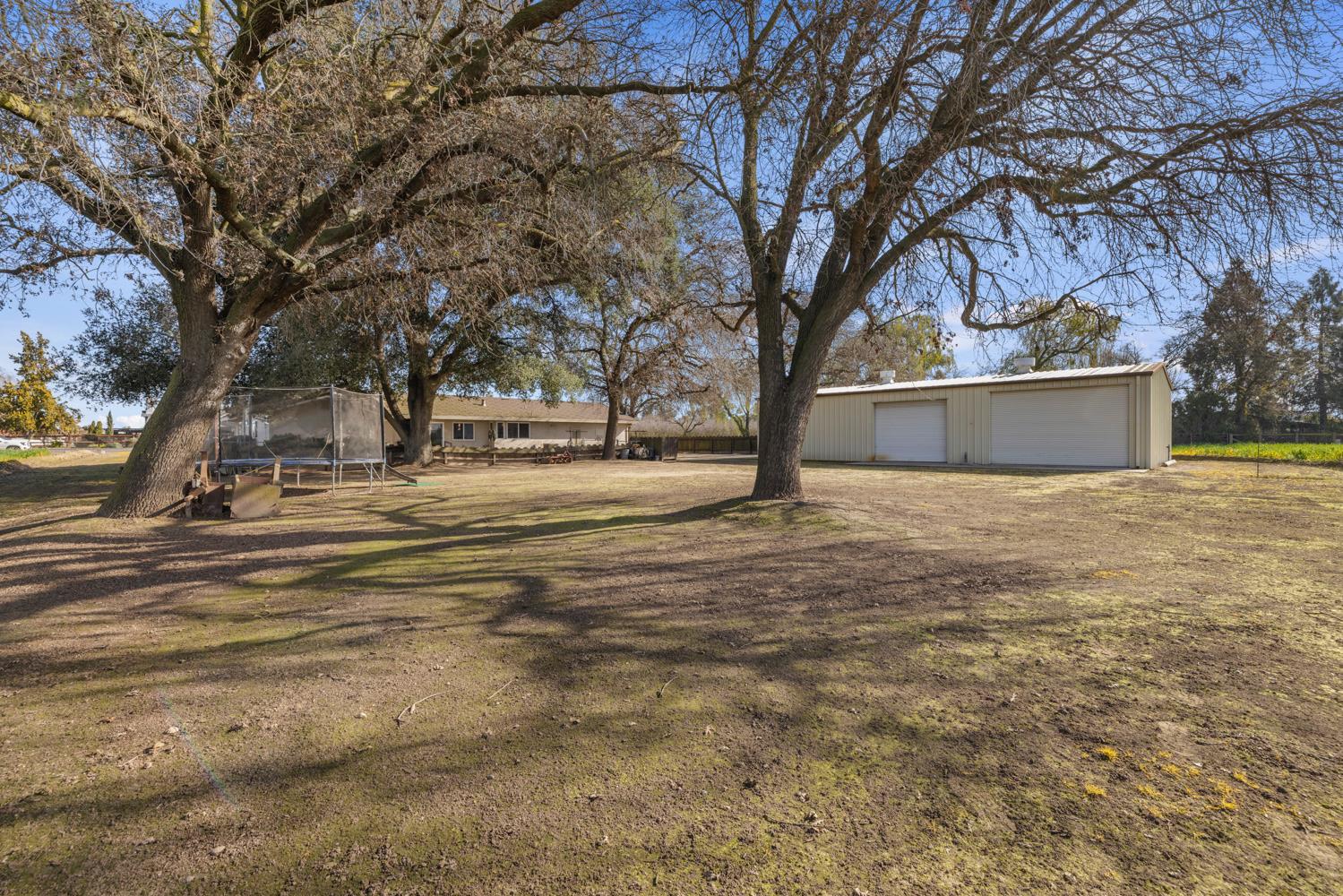 24836 Arthur Road Escalon, CA 95320 - Photo 40 of 47 a view of yard with tree