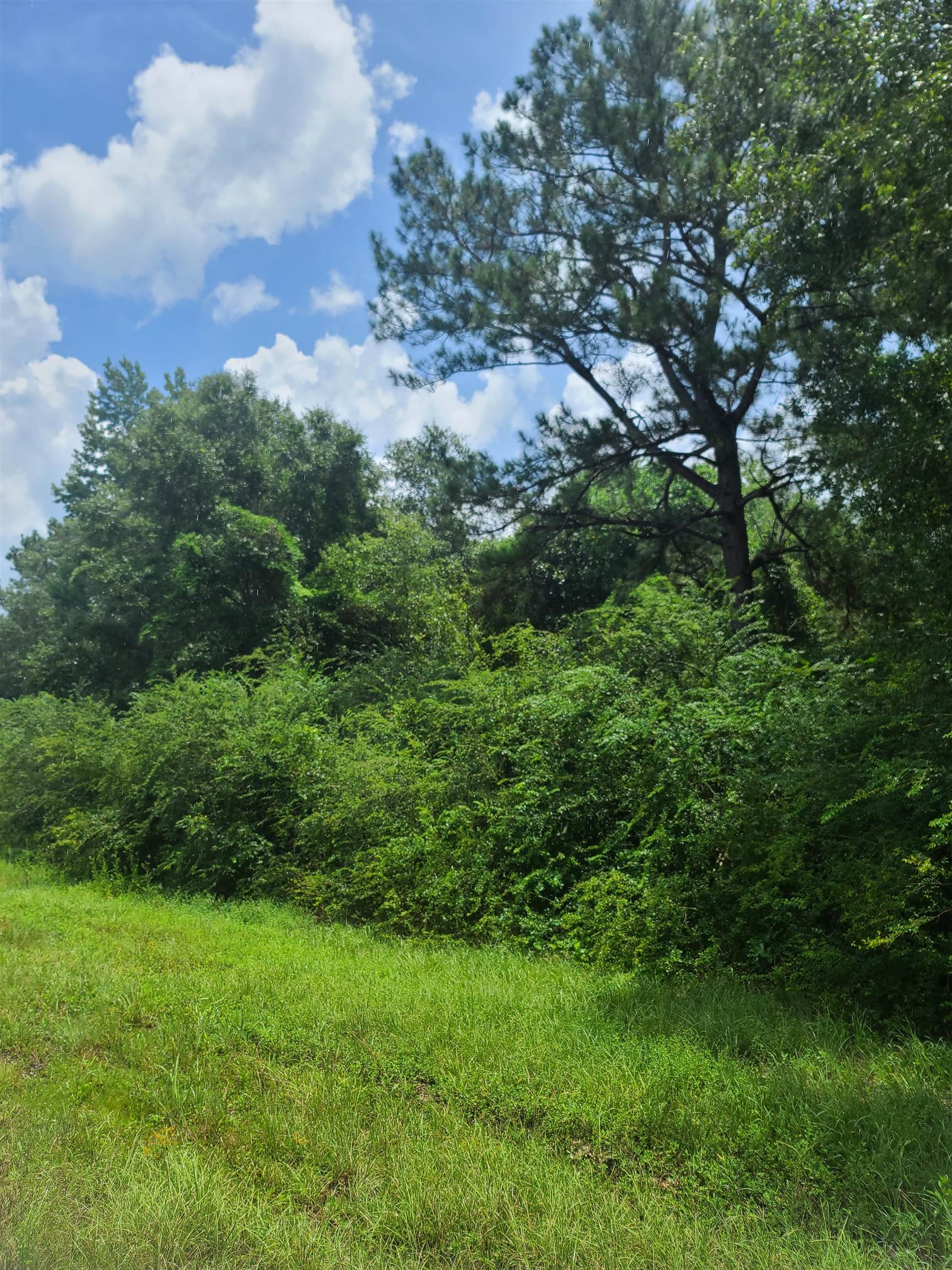 65 Southeast Interstate 65 Atmore, AL 36502 - Photo 4 of 6