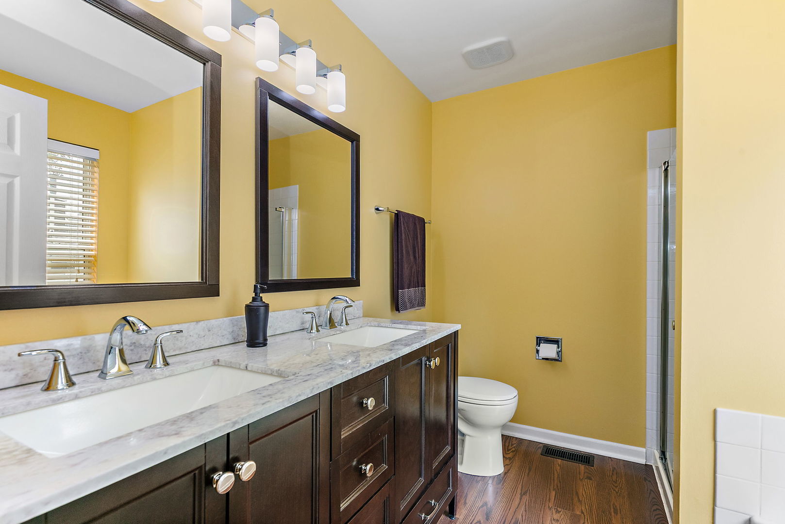 204 Dickens Trail Elgin, IL 60120 - Photo 17 of 39