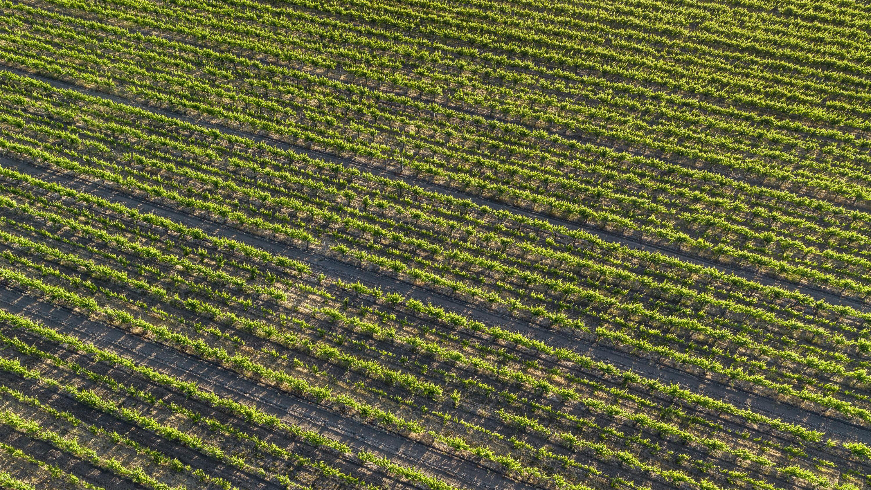 9650 Highway 101 Los Alamos, CA 93440 - Photo 9 of 13 Ron_s9