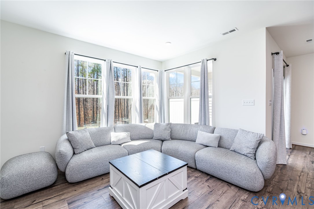 18521 Palisades Ridge Moseley, VA 23120 - Photo 13 of 32 Living room