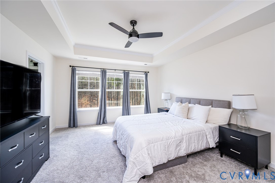 18521 Palisades Ridge Moseley, VA 23120 - Photo 15 of 32 Primary Bedroom