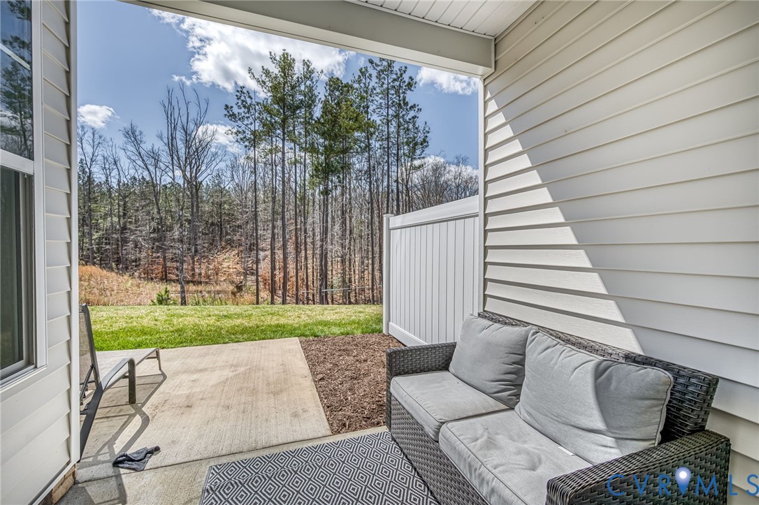 18521 Palisades Ridge Moseley, VA 23120 - Photo 28 of 32 back patio