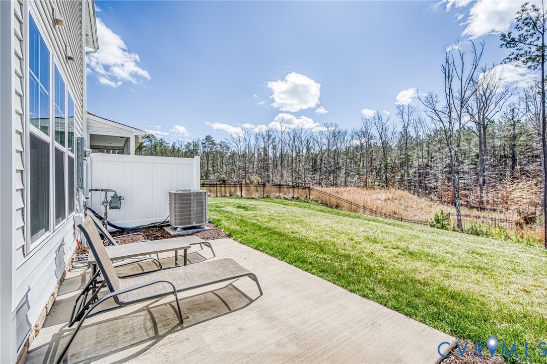18521 Palisades Ridge Moseley, VA 23120 - Photo 29 of 32 back patio