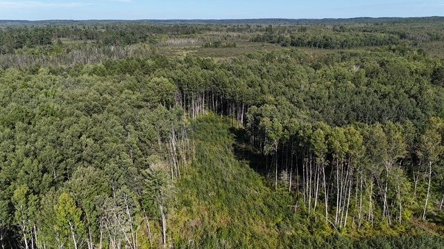 0 Mack Lake Road Trego, WI 54888 - Photo 24 of 26 Gallery Image 24