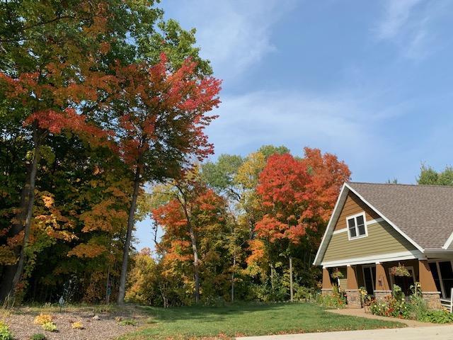 21945 County 38 Long Prairie, MN 56347 - Photo 2 of 115