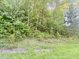 Ridgeview Road Norwich, NY 13815 - Photo 6 of 11