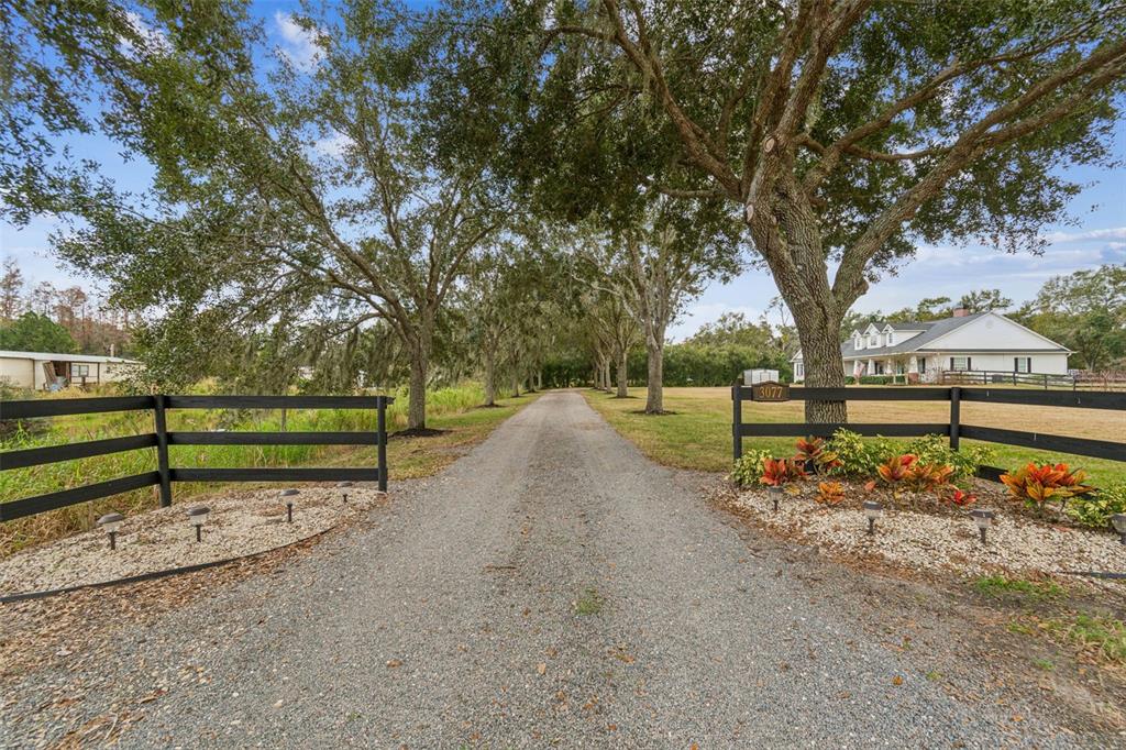 3077 Cork Road Plant City, FL 33565 - Photo 2 of 99