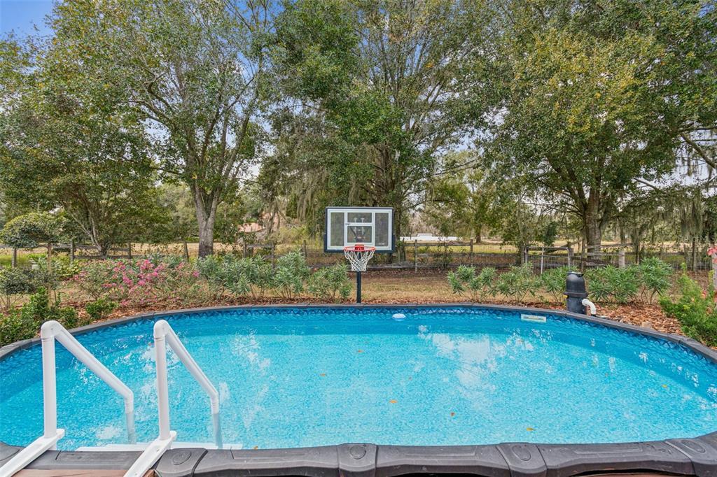 3077 Cork Road Plant City, FL 33565 - Photo 74 of 99