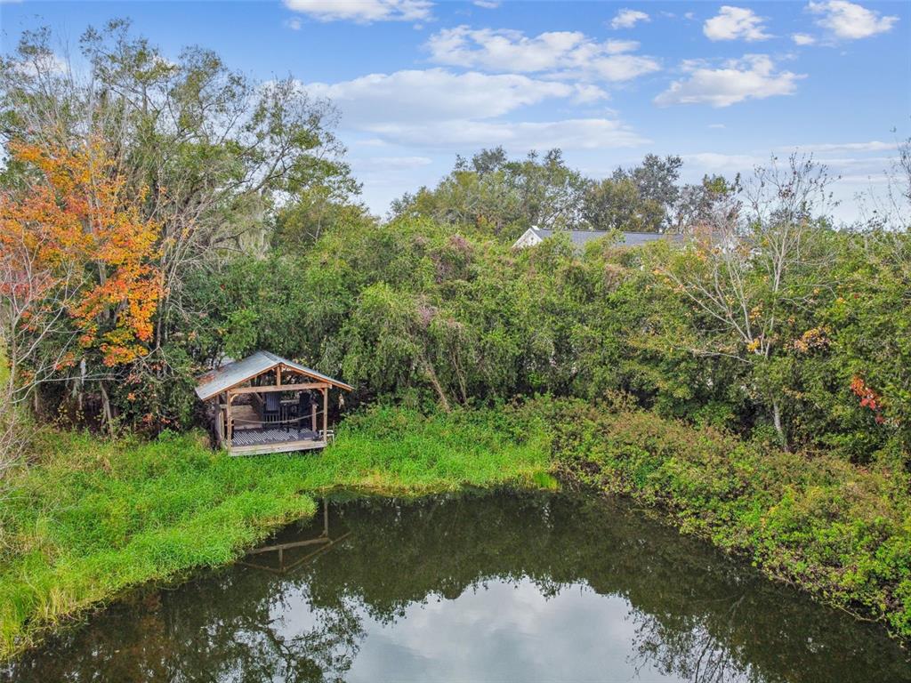 3077 Cork Road Plant City, FL 33565 - Photo 99 of 99 a view of a lake with a house in the background