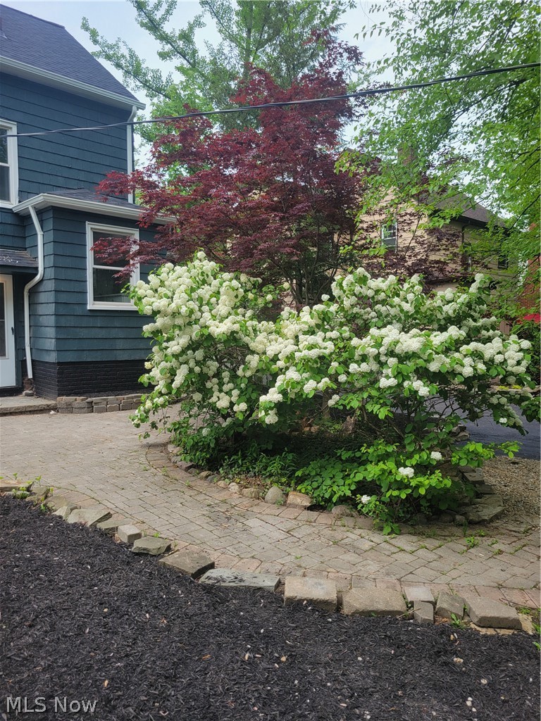1557 Maplegrove Road South Euclid, OH 44121 - Photo 4 of 23 View of yard