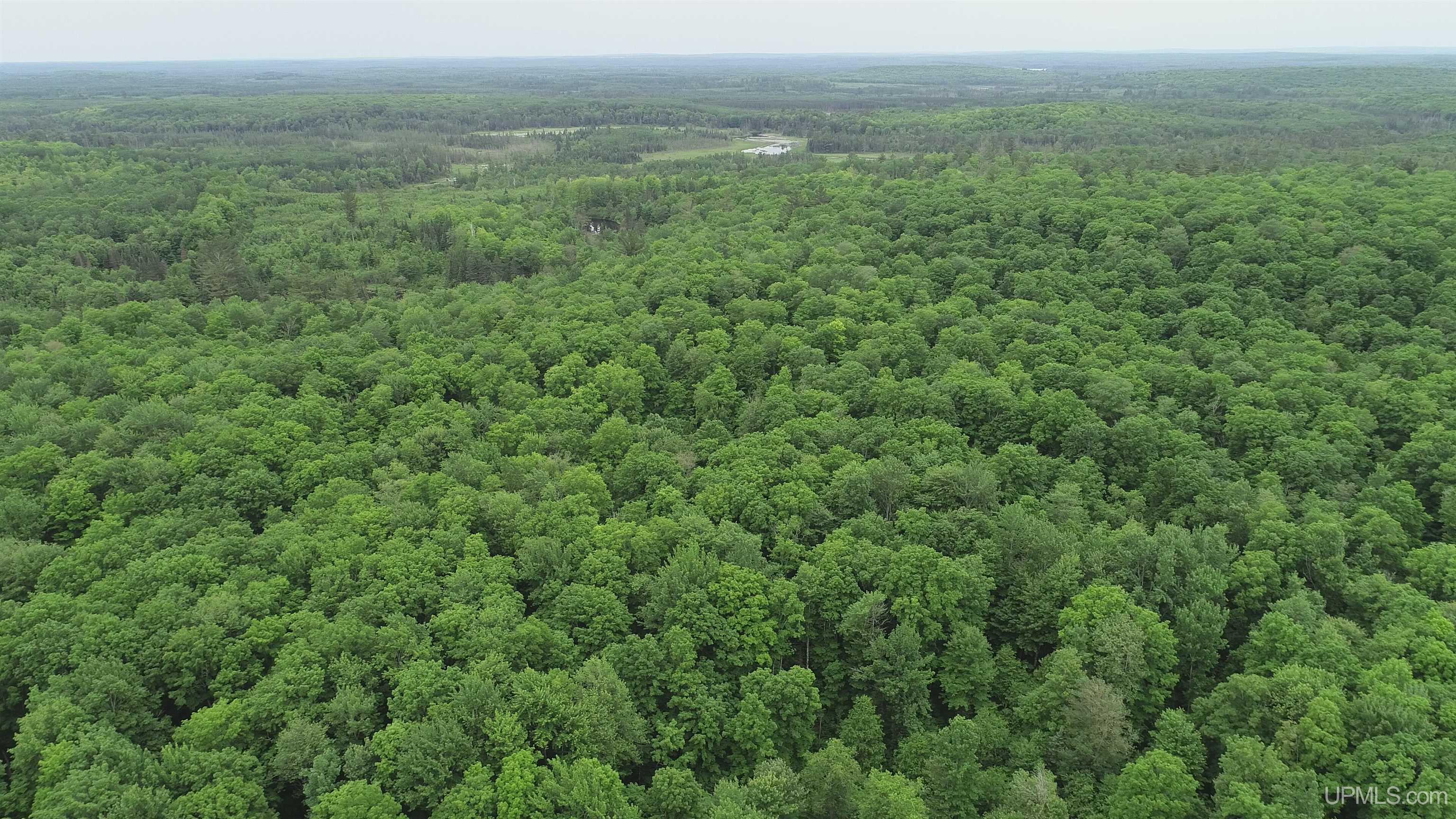 40-acres The Grade Road Crystal Falls, MI 49920 - Photo 37 of 39